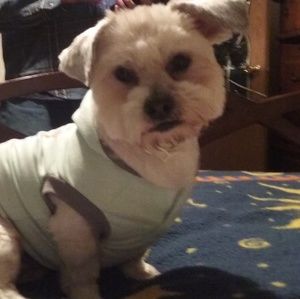 Meet your Posher, Darla